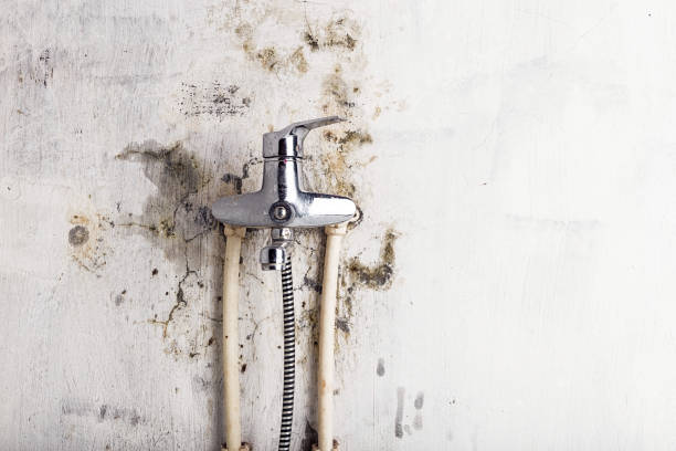 Best Water Damage Restoration  in Silverton, OR
