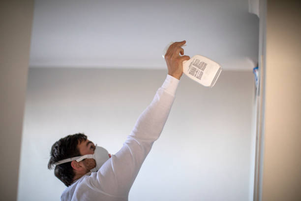 Best Mold Remediation Experts  in Silverton, OR