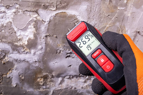 Mold Testing and Removal in Silverton, OR