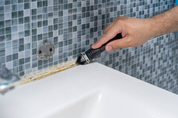 Best Commercial Mold Removal  in Silverton, OR