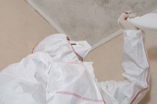 Best Fast Mold Removal  in Silverton, OR