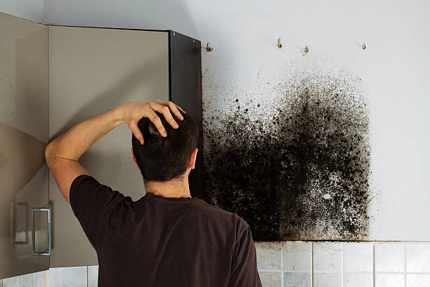 Best Mold Removal Near Me  in Silverton, OR